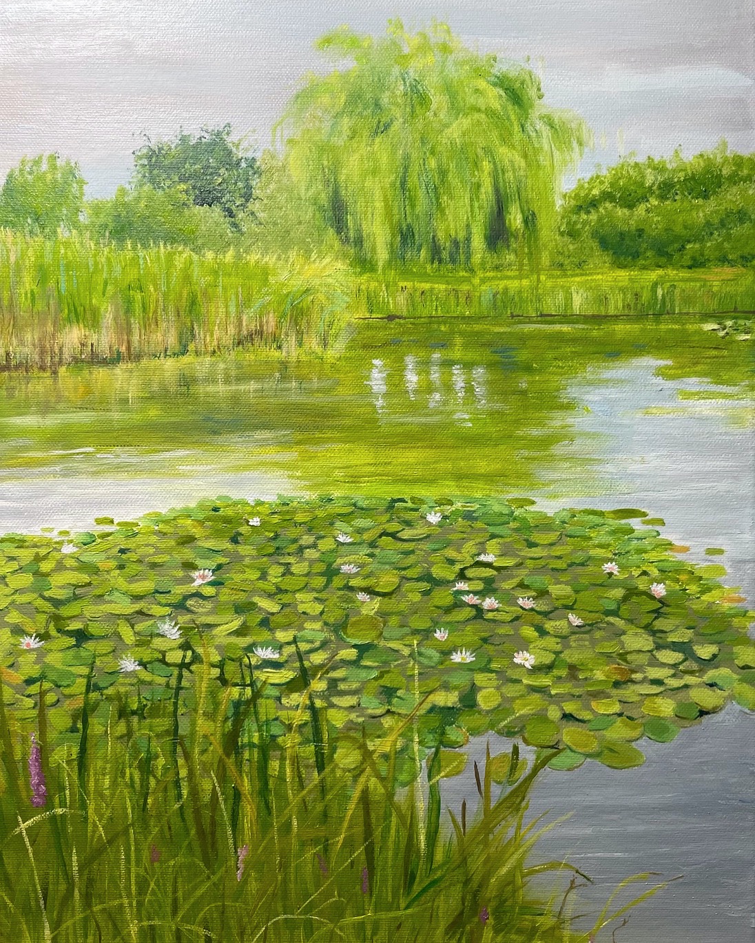 Willow and Water Lilies