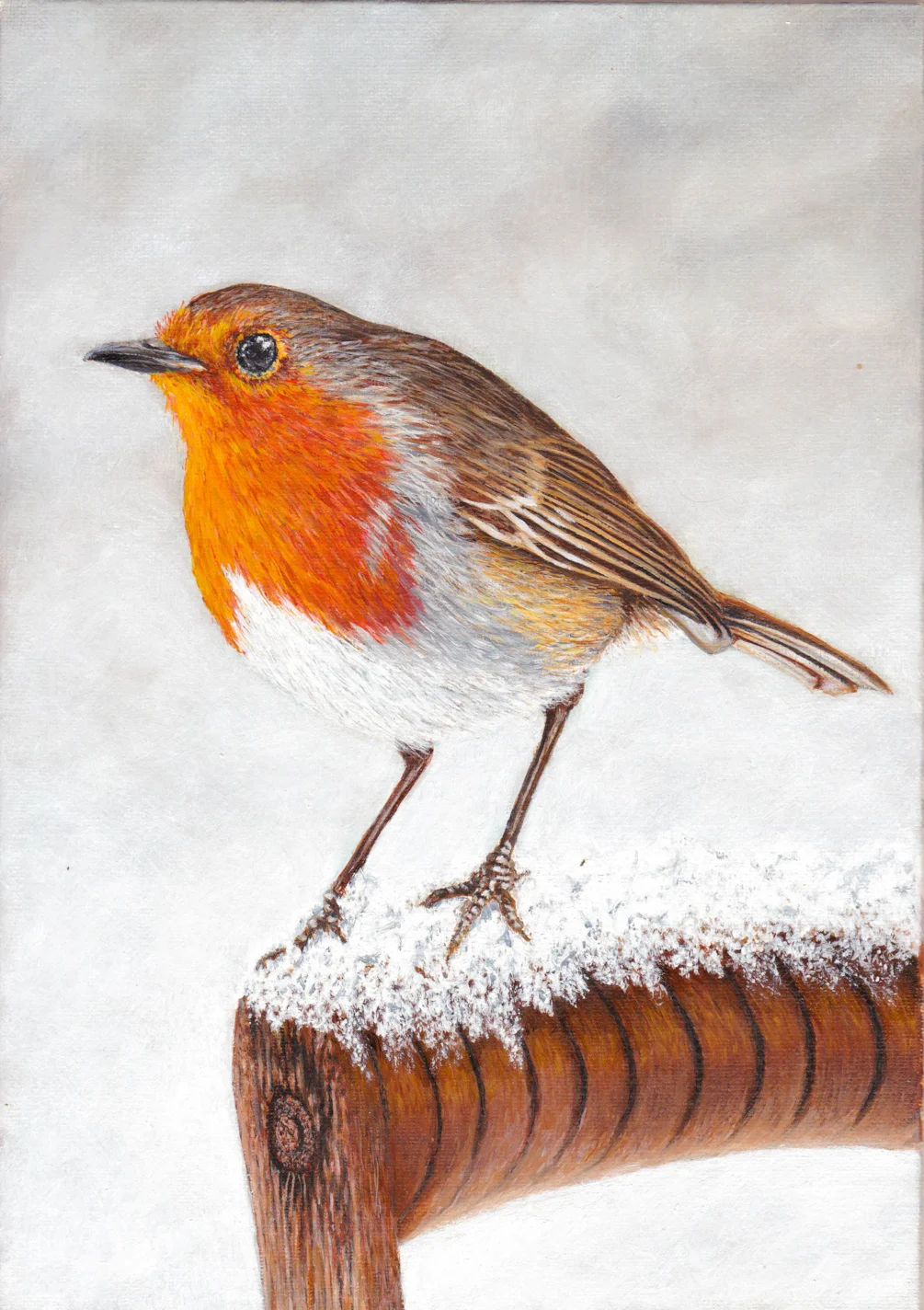 Winter Robin LR Winter Robin LR