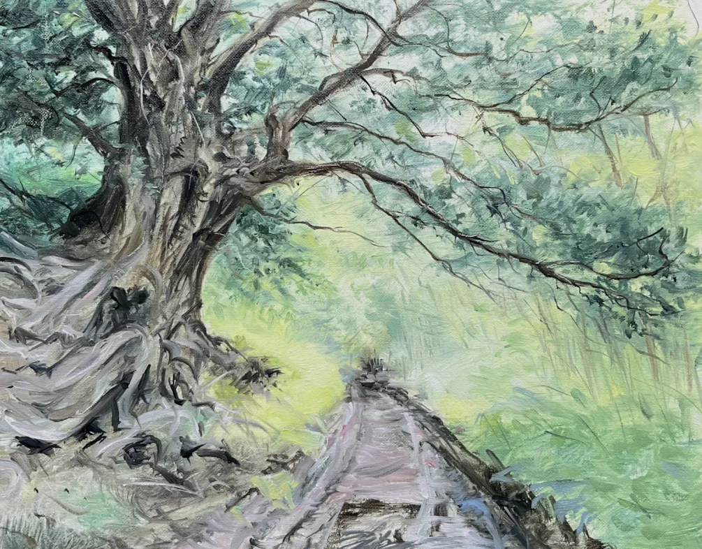 Yew tree Yew tree