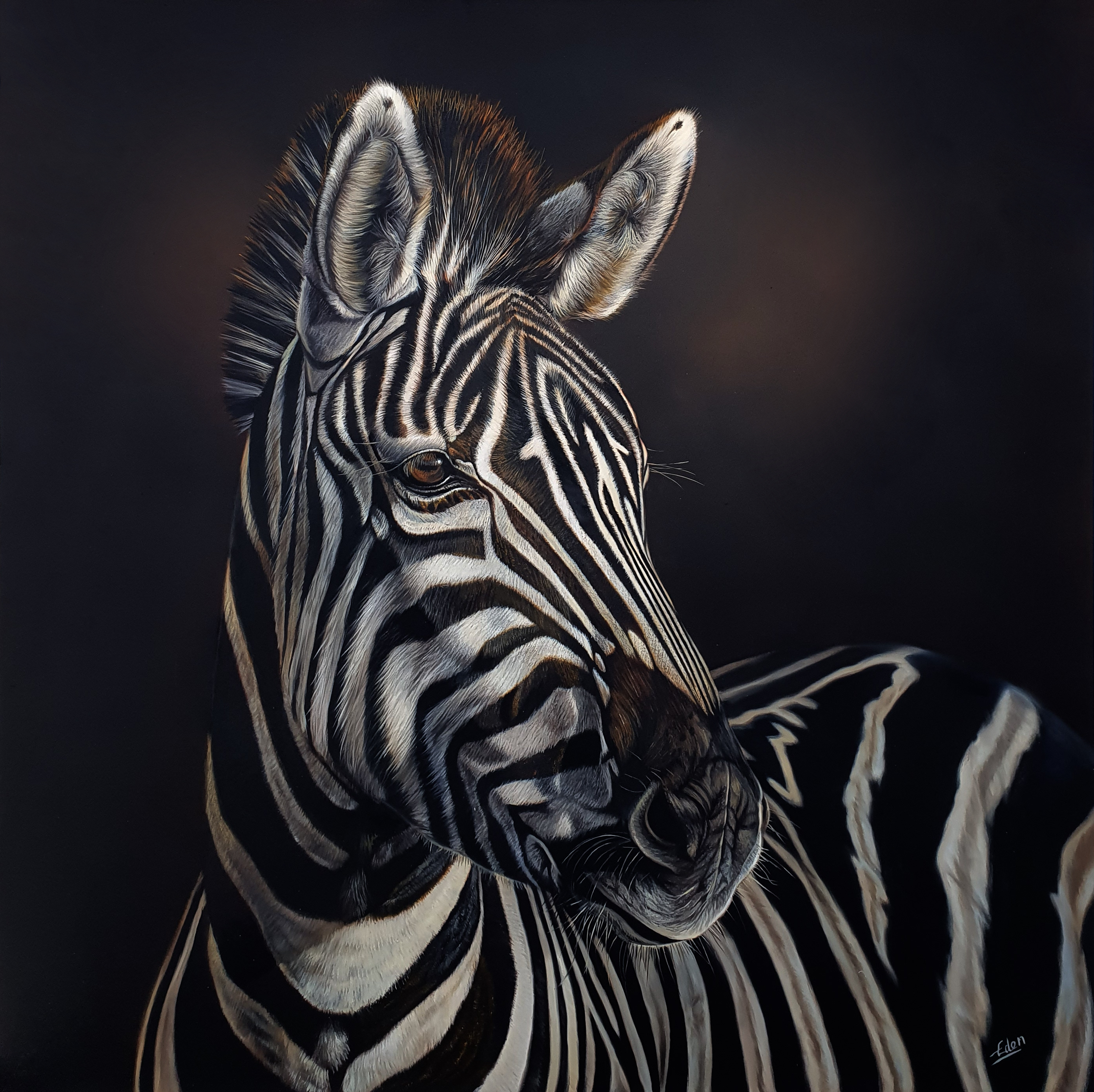 Zebra No WM