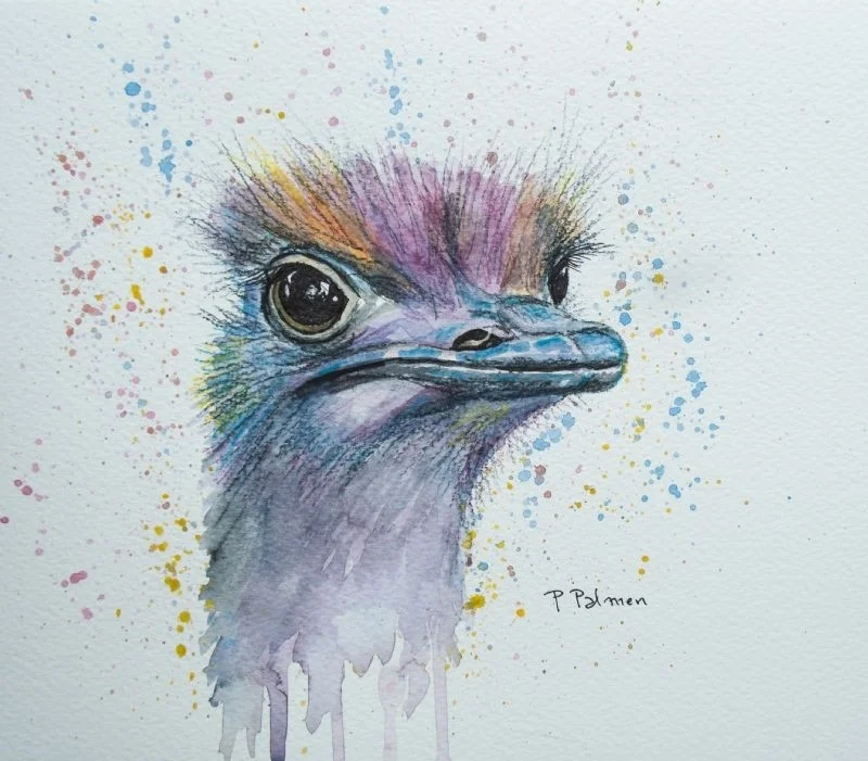 Ostrich Ostrich