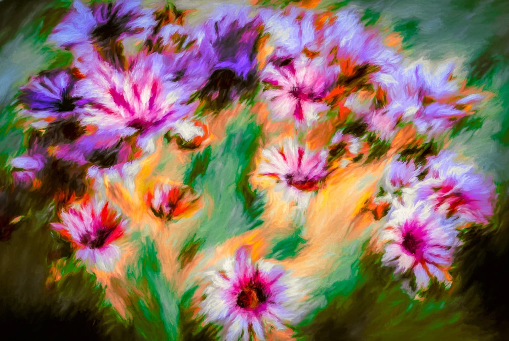 African Daisies African Daisies