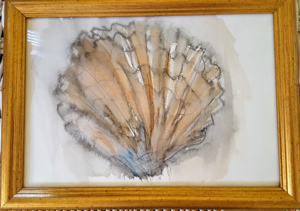 Sea shell Sea shell