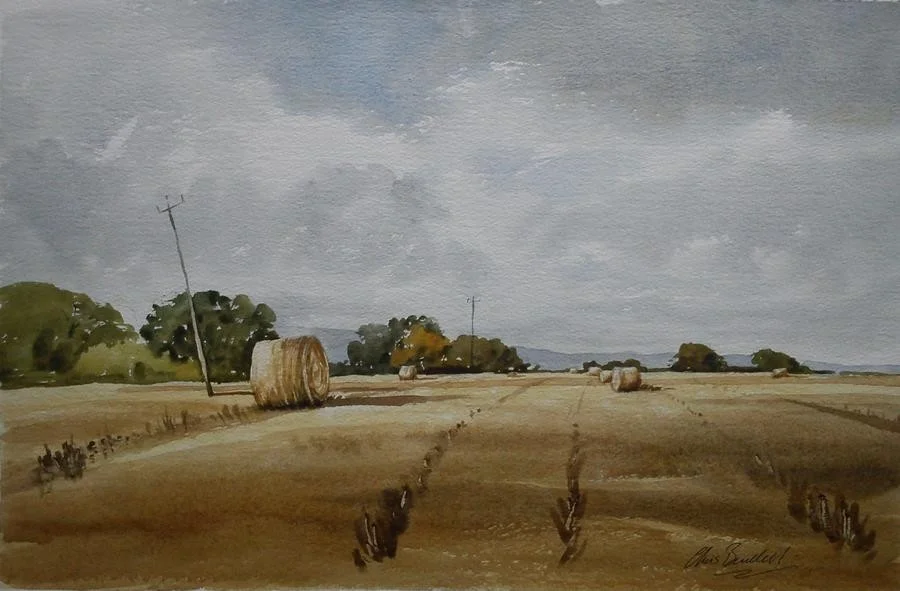 Hay Bails Tagmoor Farm Gloucestershire 18 1/2" X 13" Hay Bails Tagmoor Farm Gloucestershire 18 1/2" X 13"