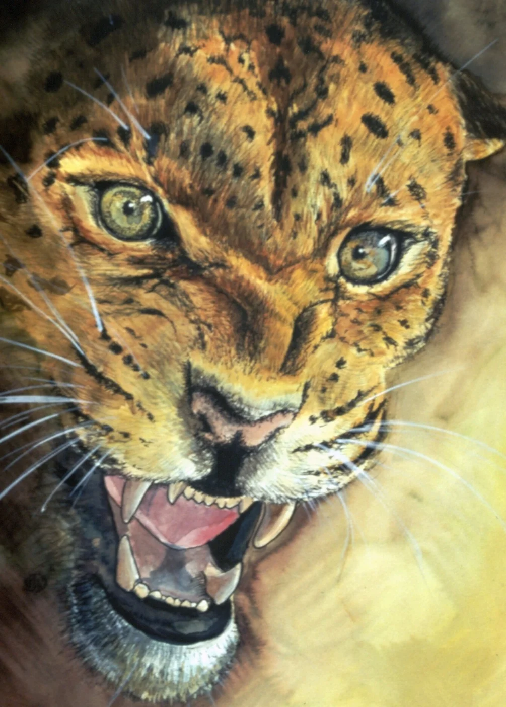Big cat Big cat