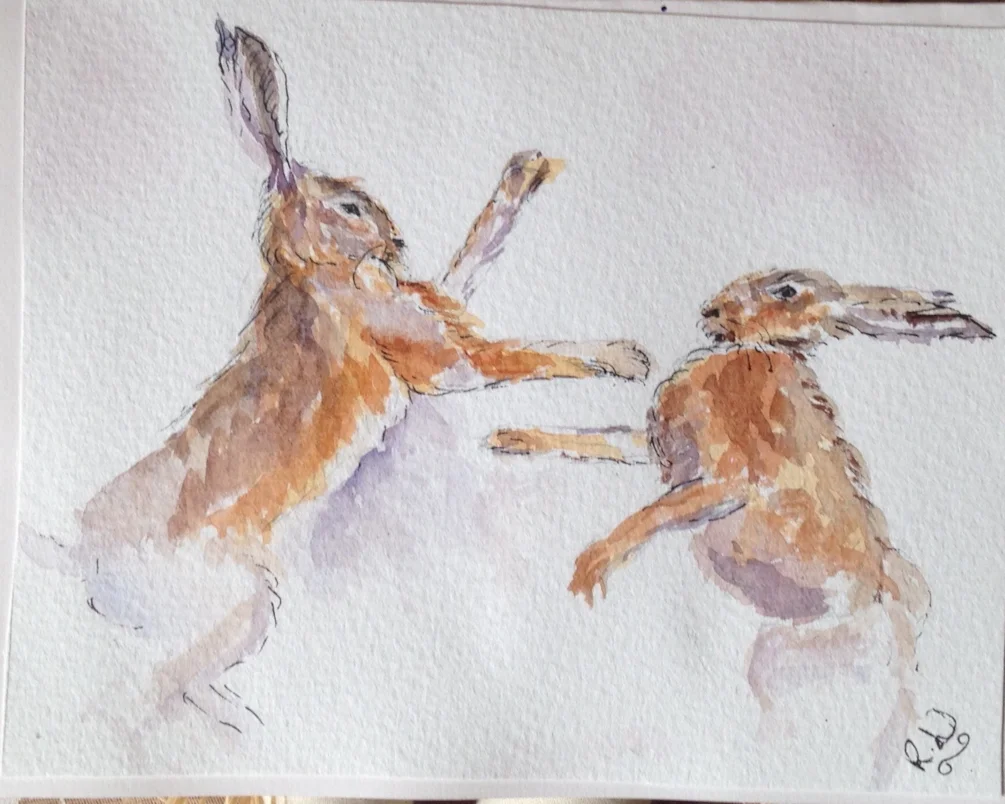 Boxing Hares Boxing Hares