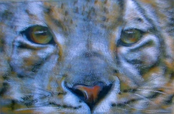 Look into my Eyes Look into my Eyes