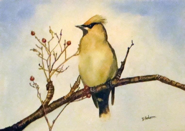 Waxwing Waxwing