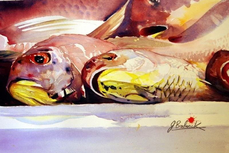 Fish Fish
