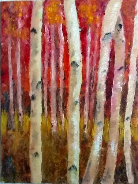 Autumn Birch Trees Autumn Birch Trees