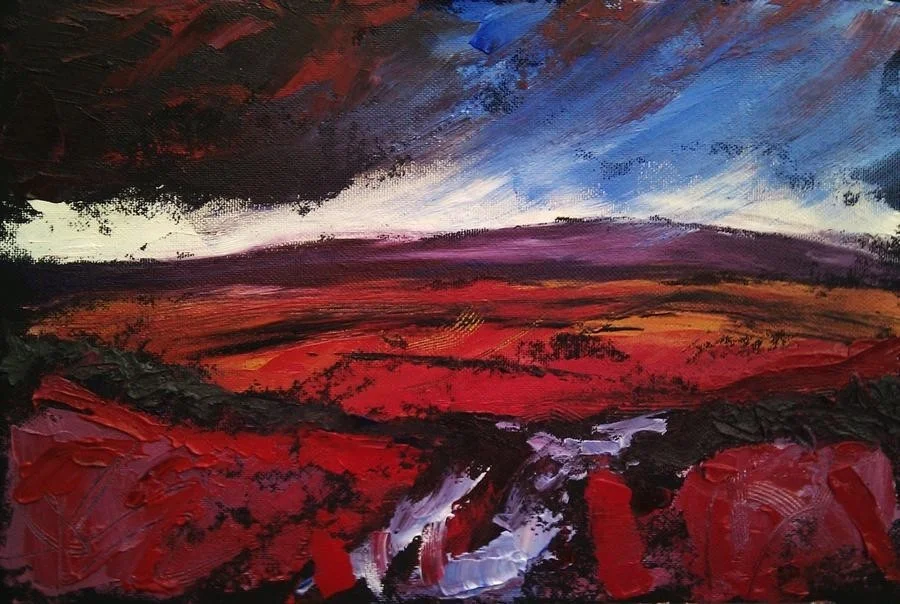 'Haworth Moor' 'Haworth Moor'
