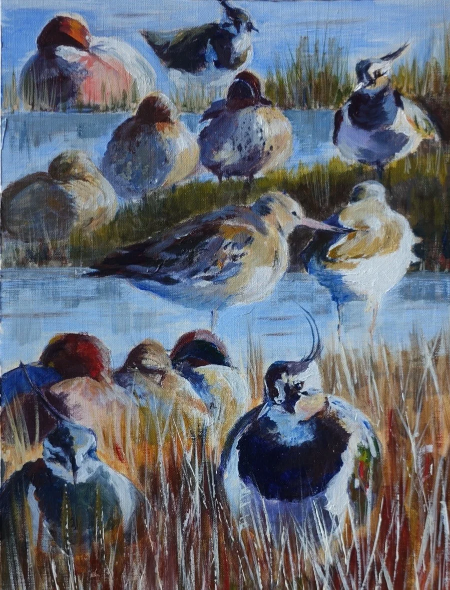 Ducks and waders - acrylic sketch Ducks and waders - acrylic sketch