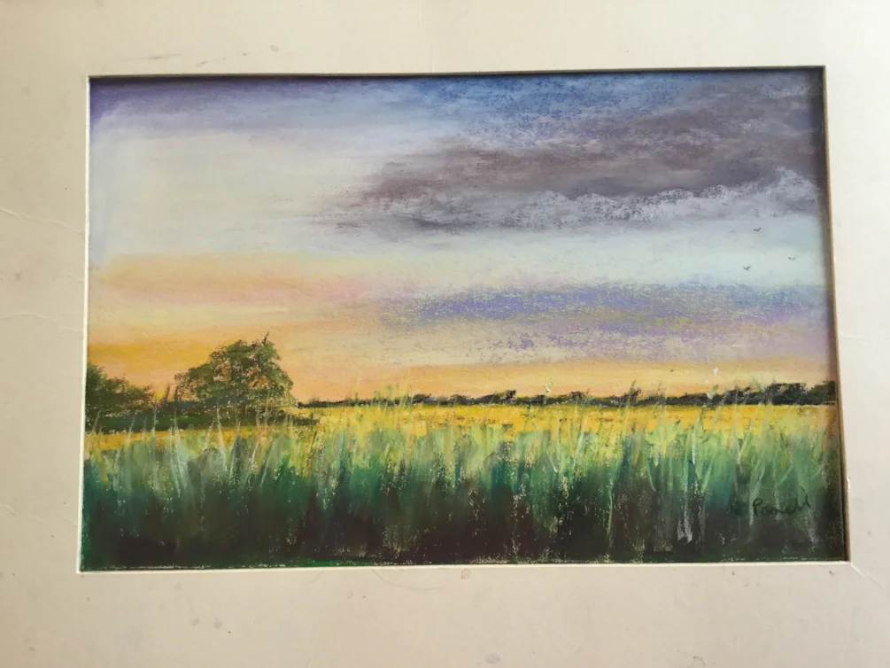 Sunlit field Sunlit field