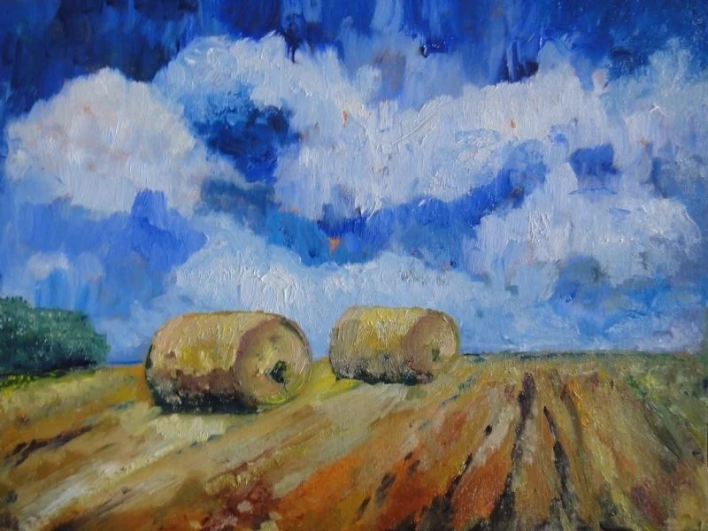 Cornfield Cornfield