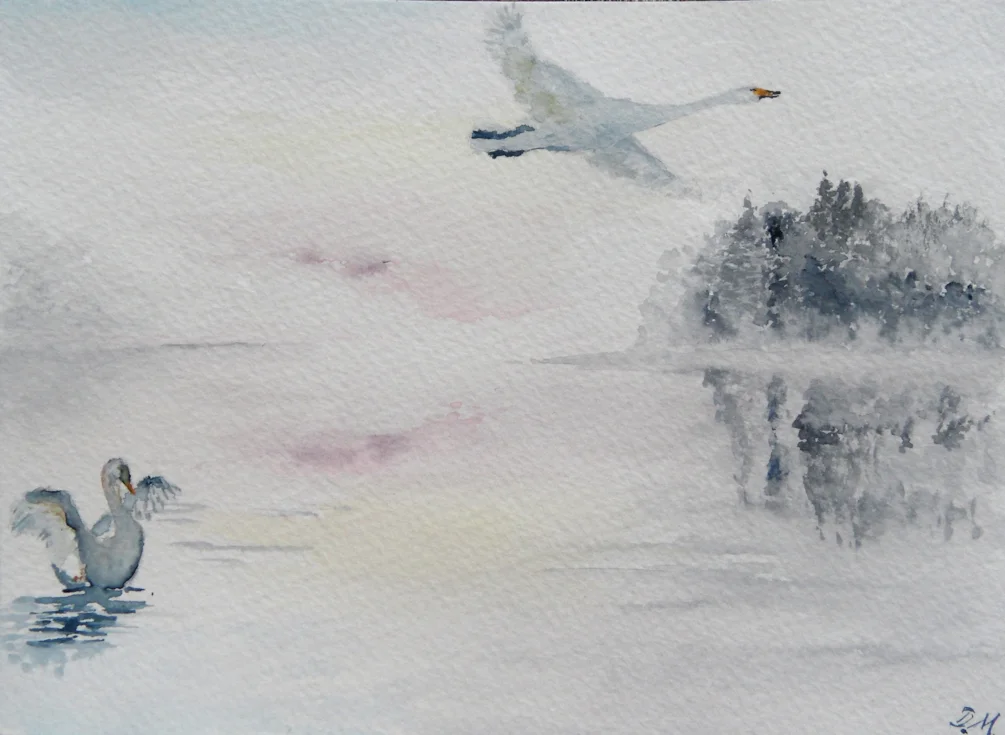 Swan Lake Swan Lake