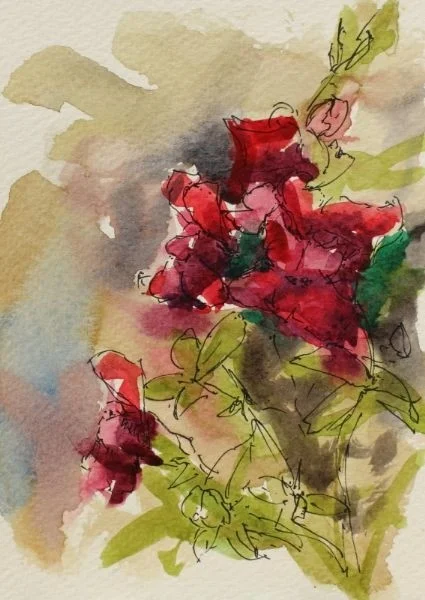 Red Snapdragon Red Snapdragon