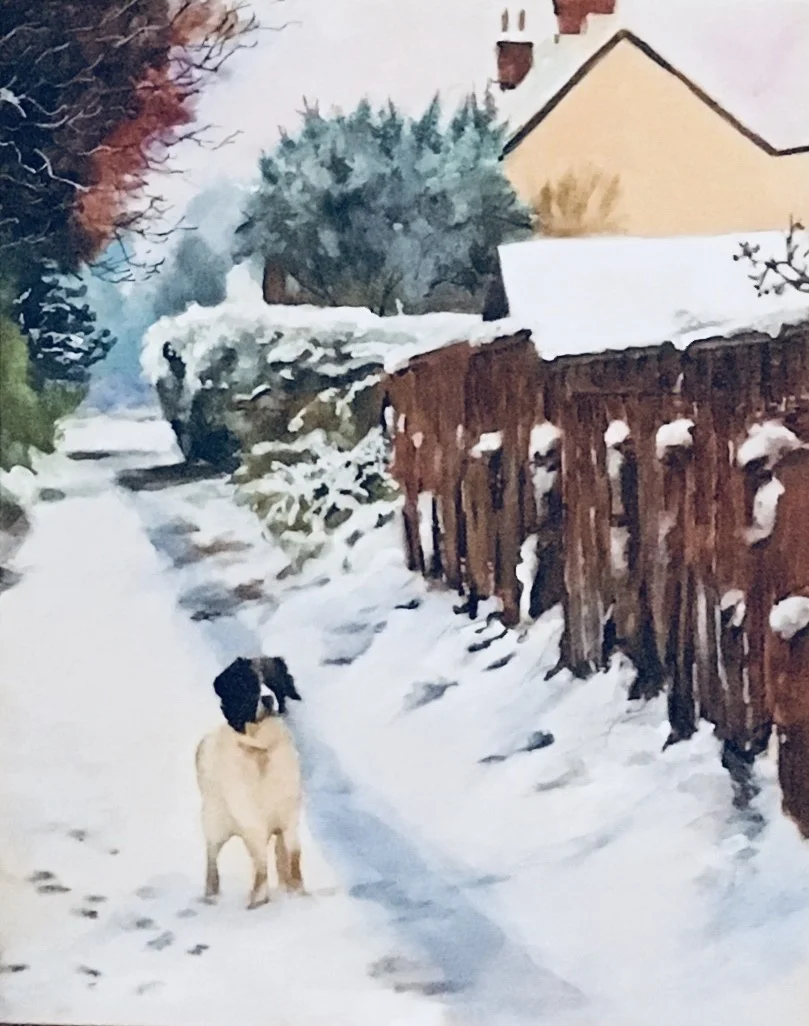 Winter walk Winter walk