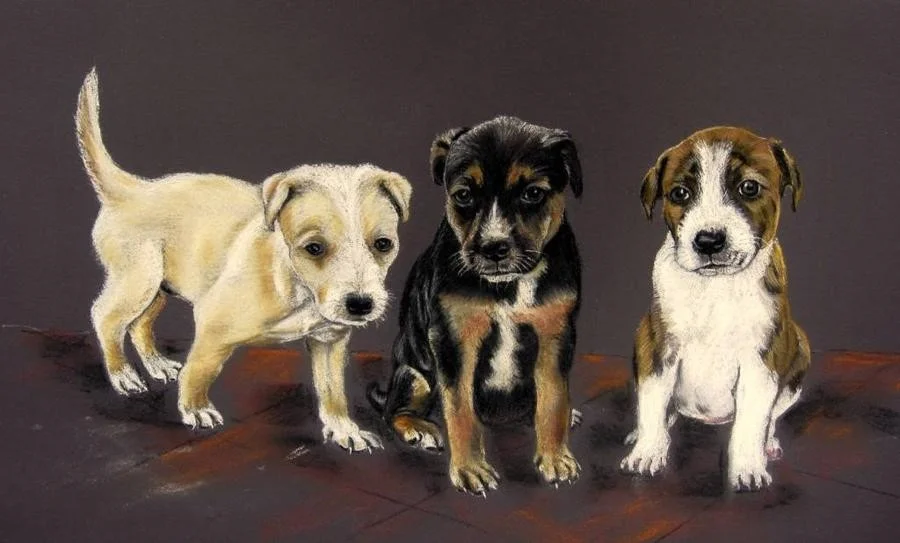 Puppies! Puppies!
