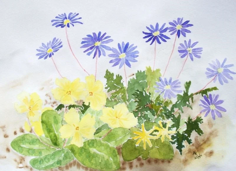 Spring flowers Spring flowers
