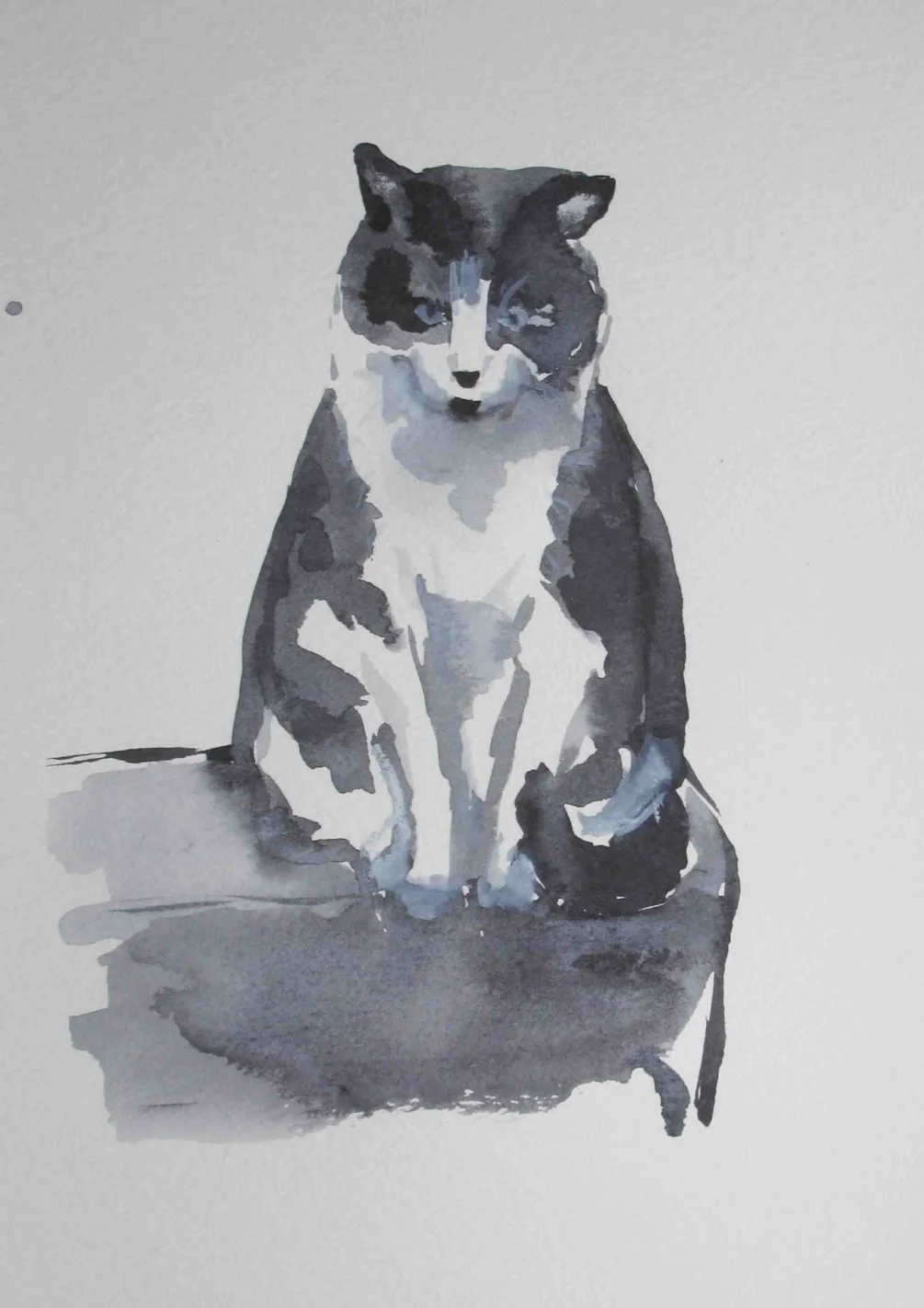 Day 5 - Cat Day 5 - Cat
