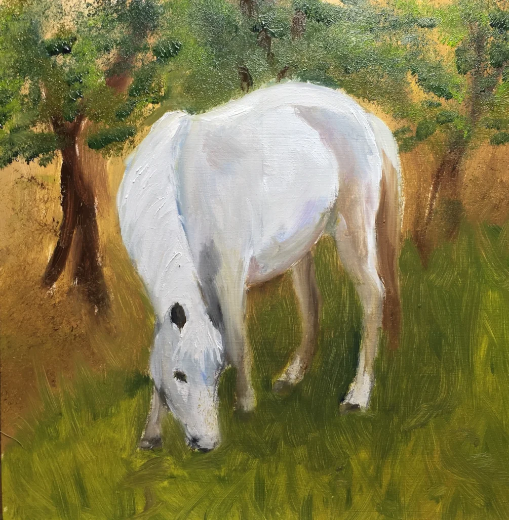 E for Equine E for Equine