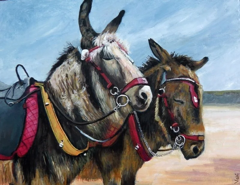 Saltburn Donkeys Posing Saltburn Donkeys Posing