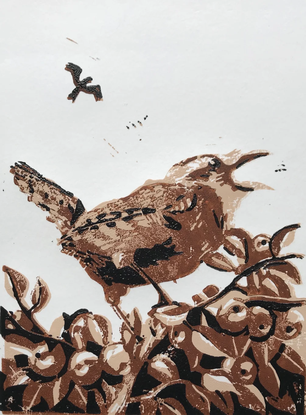 The Wren The Wren