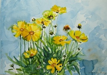 Yellow Flowers