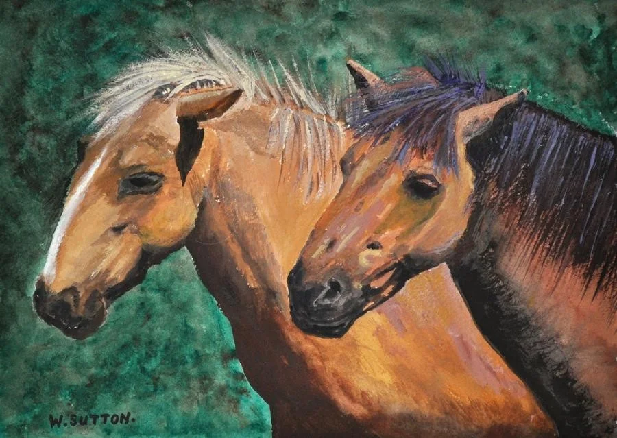 Horses Horses