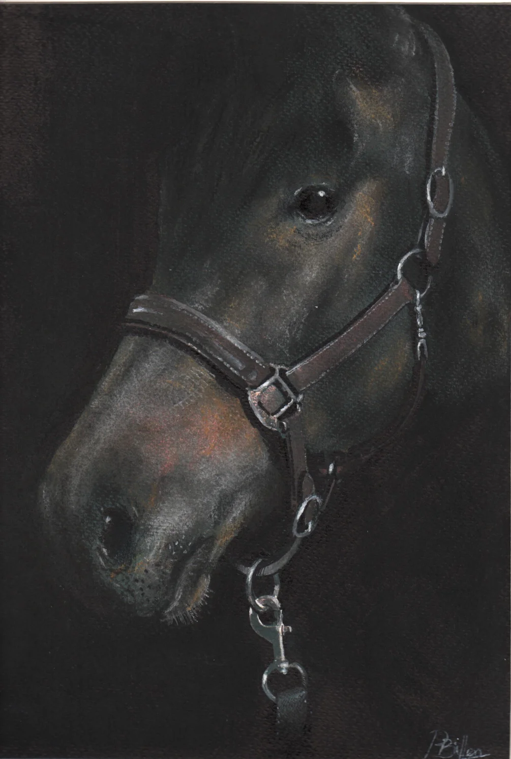bridle 001 bridle 001