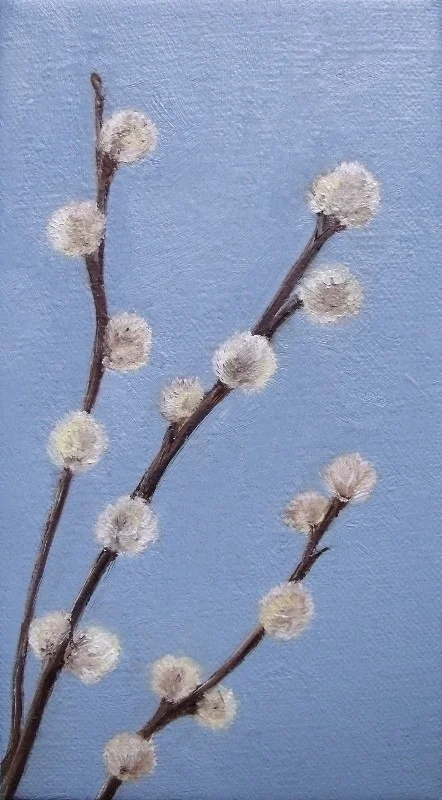 P is for Pussywillow P is for Pussywillow