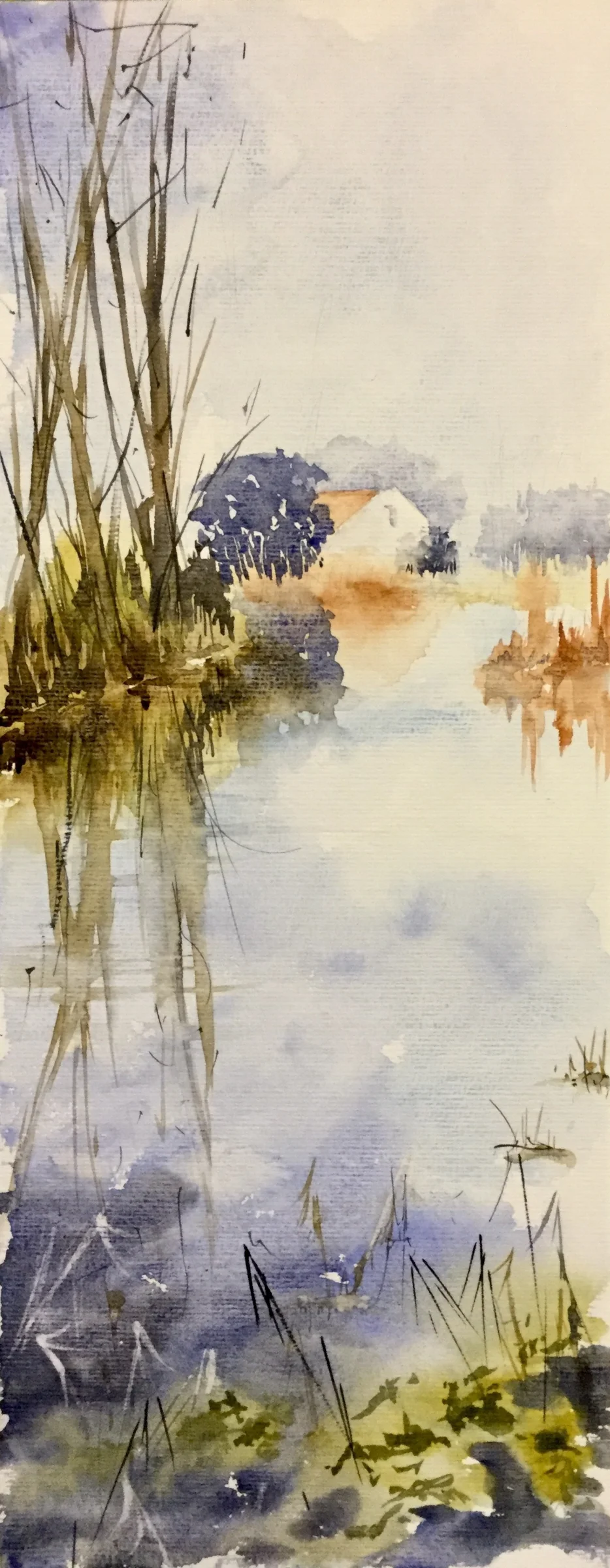Mill Pond Mill Pond
