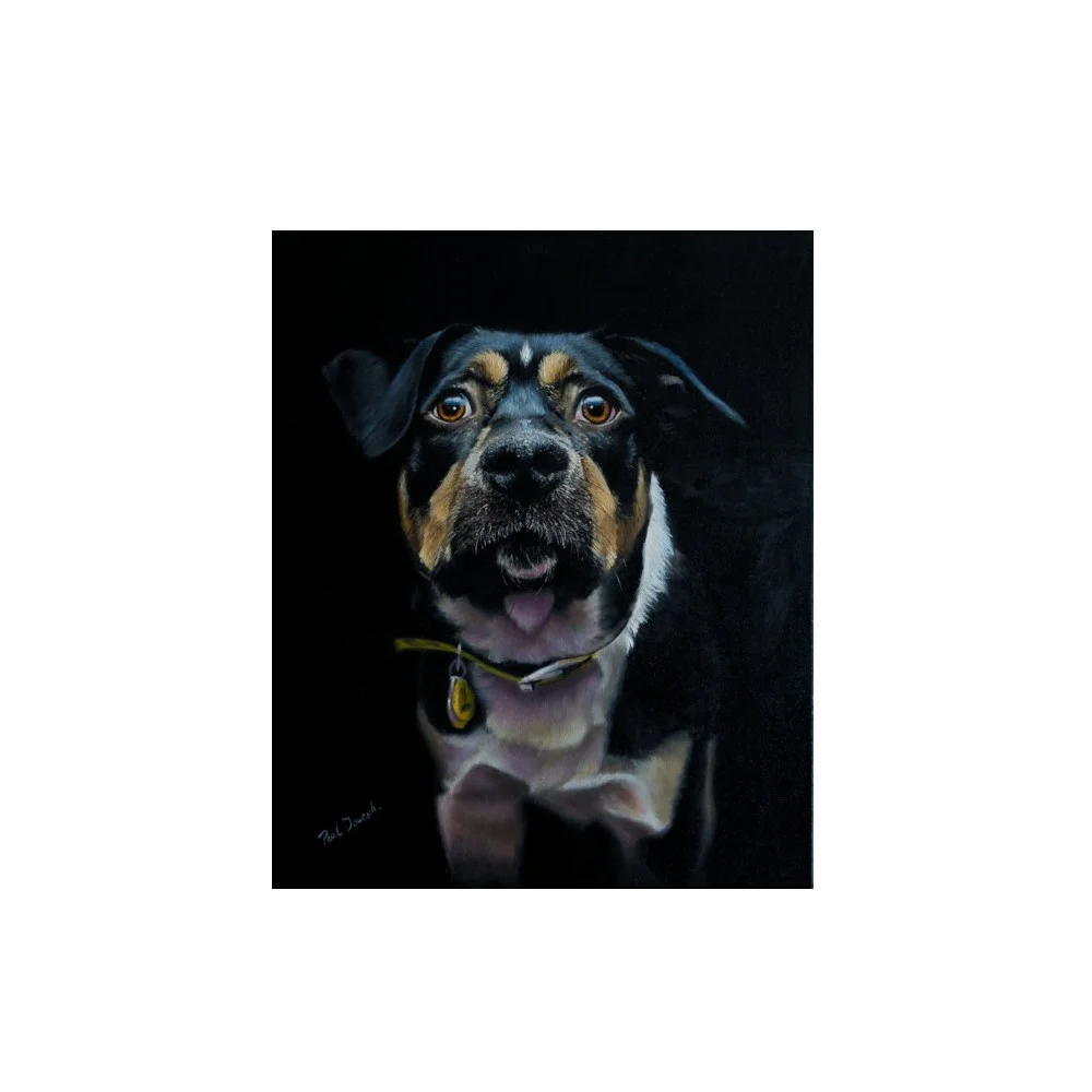 Zak Zak