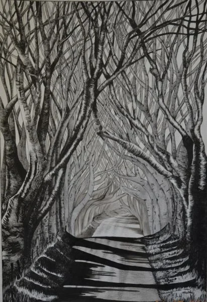 Shadows Shadows