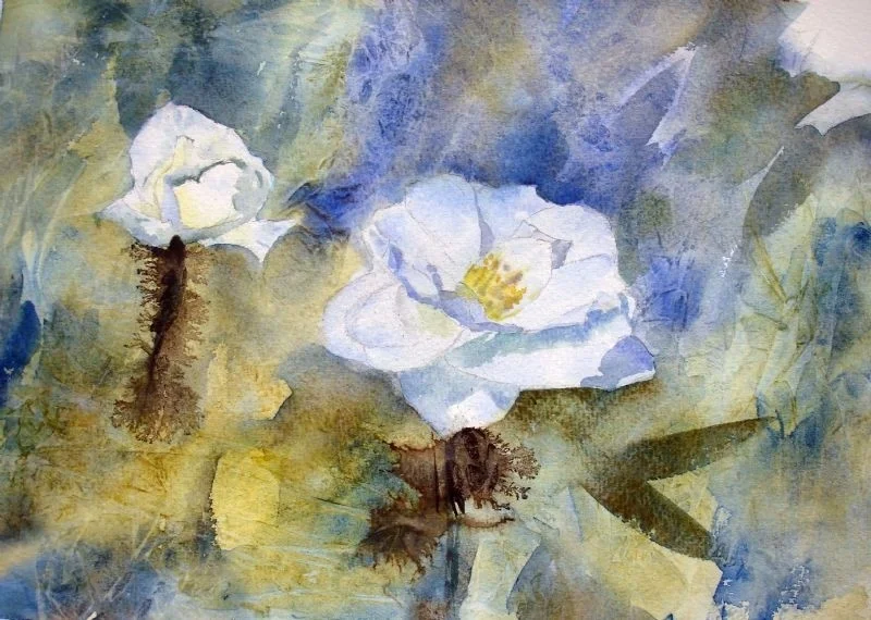 White Roses White Roses