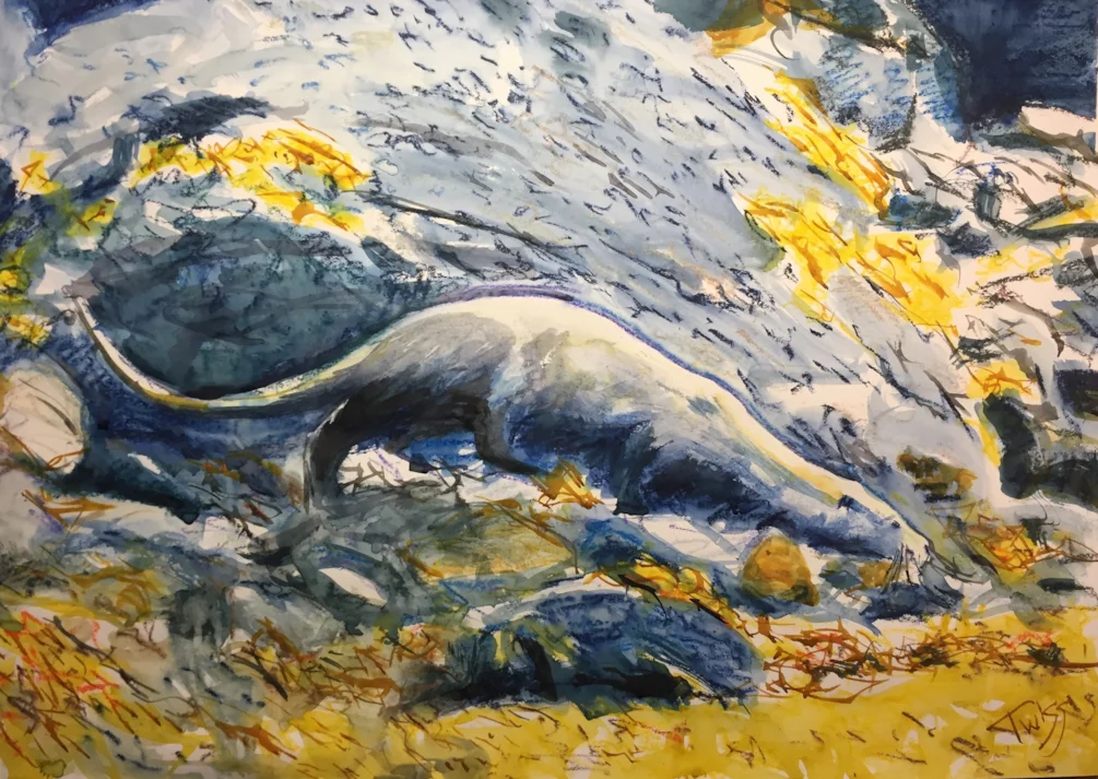 Sea otter, Hebrides. Ink and stuff on A2 Sea otter, Hebrides. Ink and stuff on A2