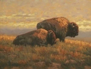 Prairie Sunset Prairie Sunset