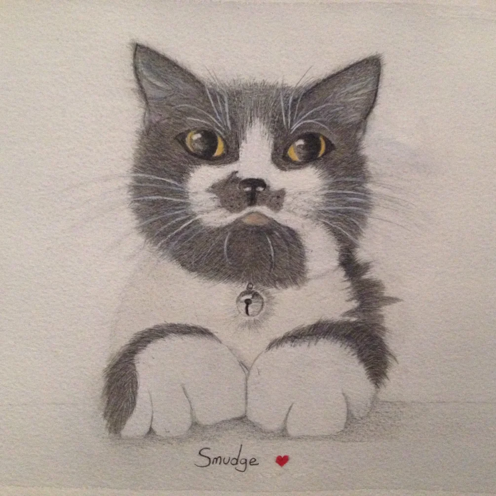 'Smudge' 'Smudge'