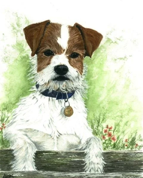 terrier terrier