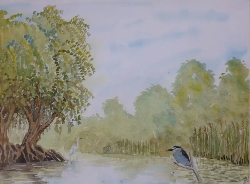 Danube Delta Danube Delta