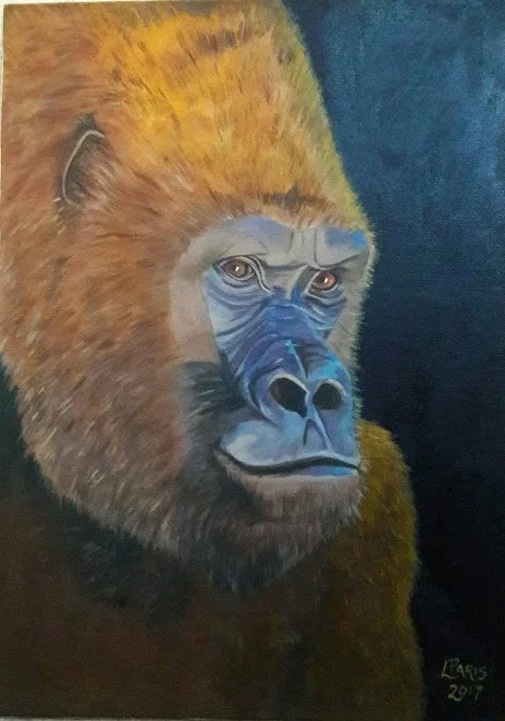 Mountain Gorilla Mountain Gorilla