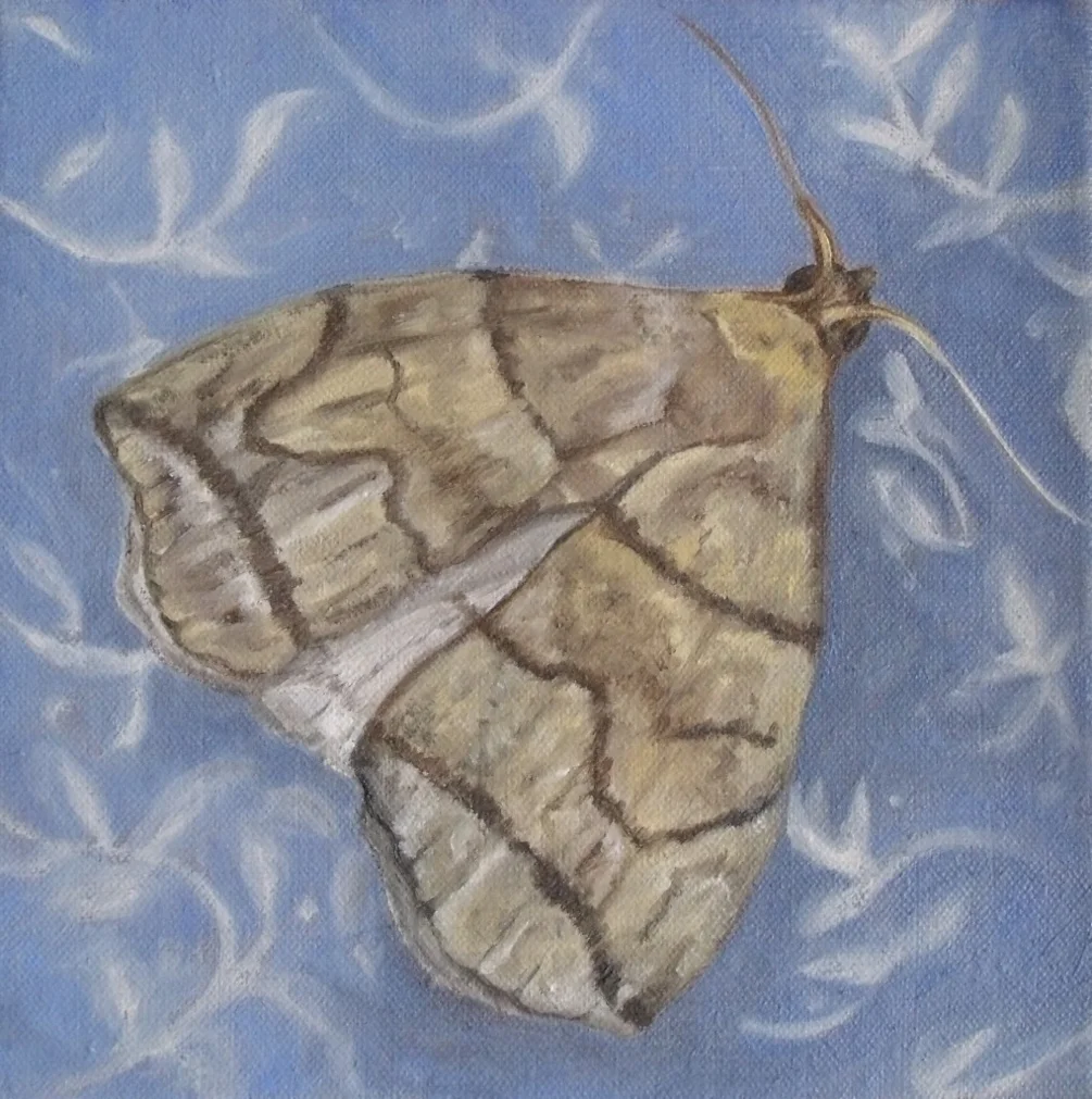 M is for Moth M is for Moth