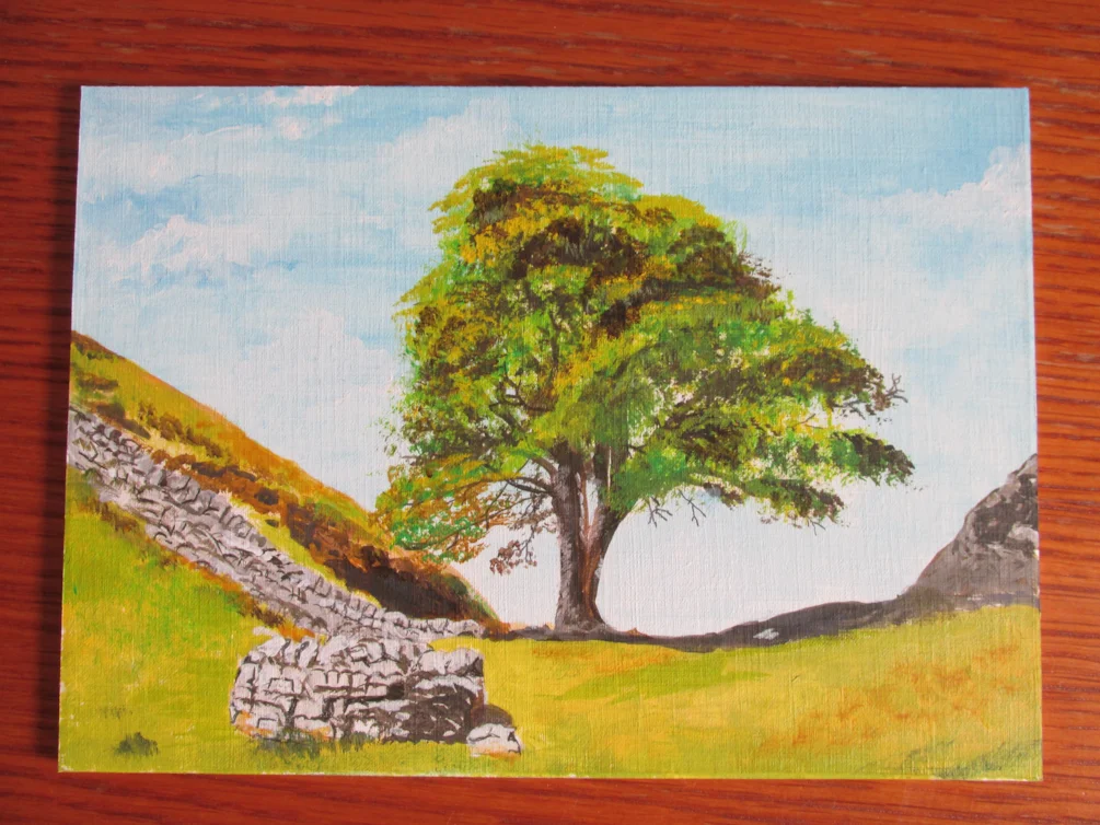 Sycamore gap Hadrians wall Sycamore gap Hadrians wall