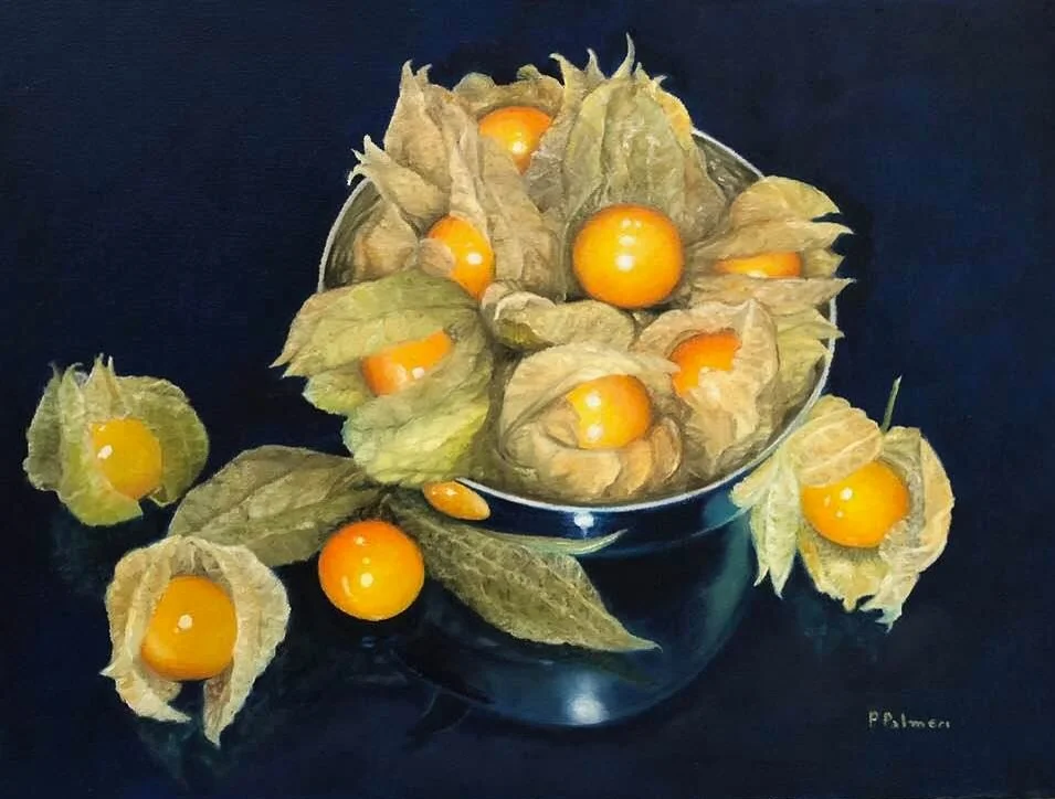 Physalis Physalis