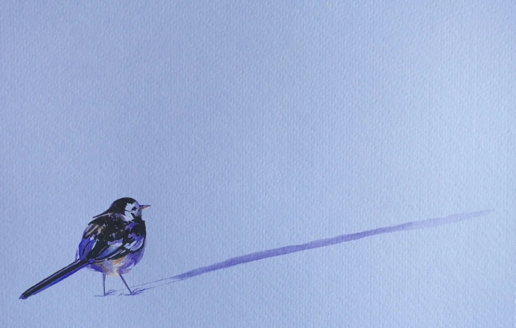 Small bird, long shadow Small bird, long shadow