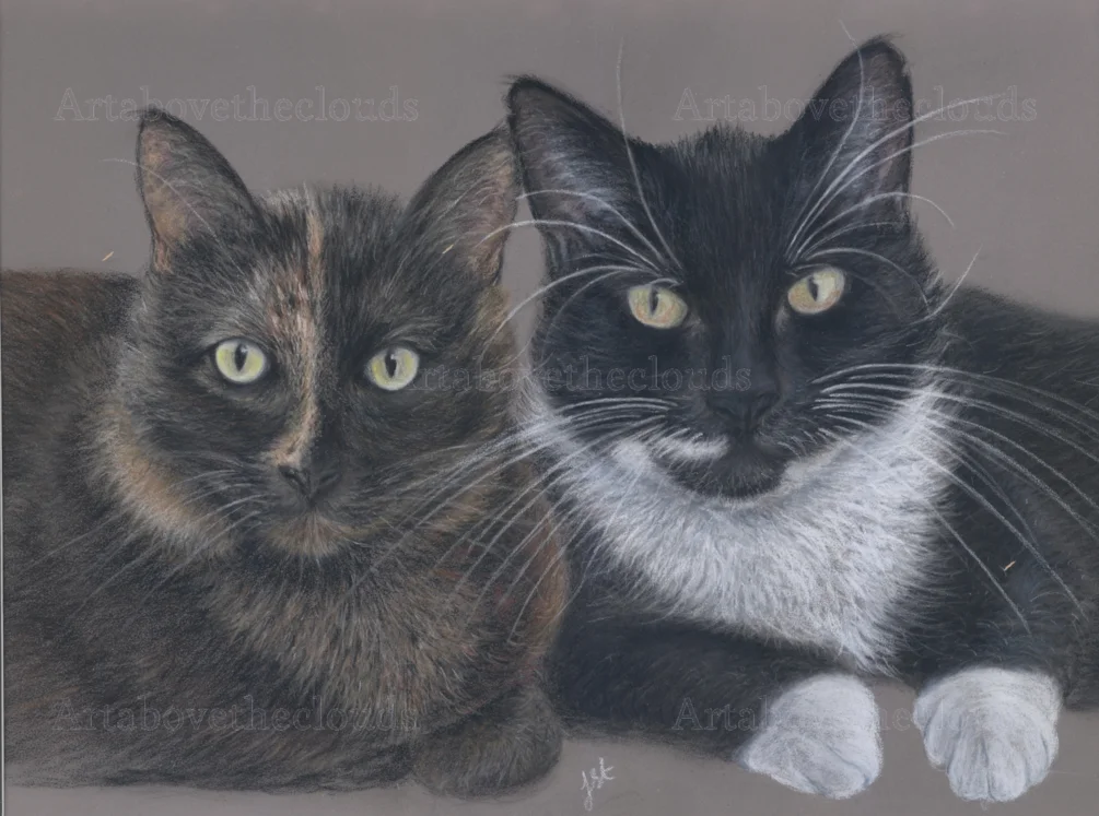 cats cats