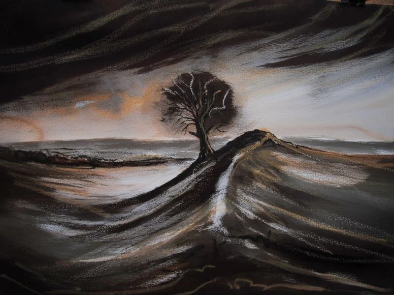 'Burrough Hill' 'Burrough Hill'
