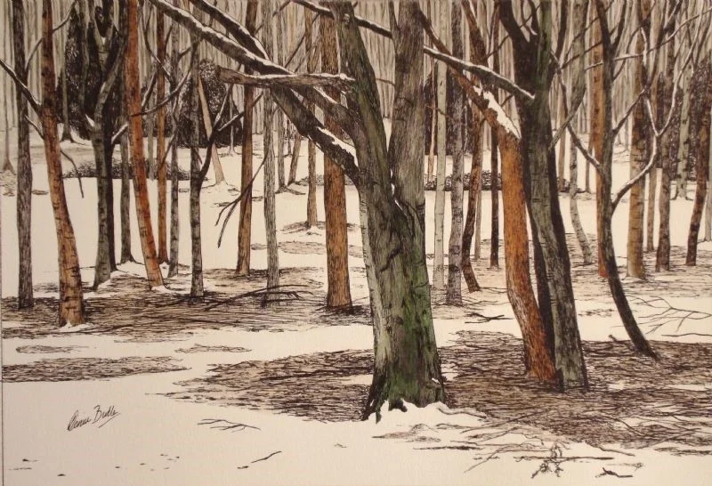 Snow in the Woods Snow in the Woods