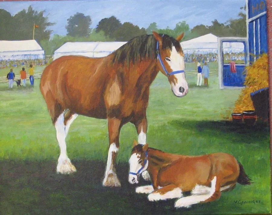 Forty Winks at Stokesly Show Forty Winks at Stokesly Show