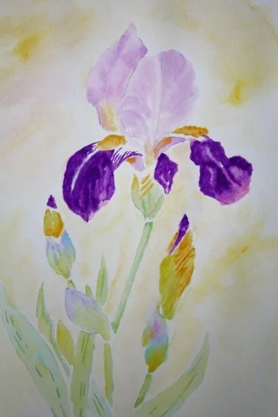 IRIS No 2 IRIS No 2